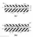 Fig. 04 - Optical discs for measuring analytes