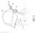 Fig. 06 - Bag type earphone structure