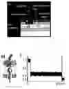 Fig. 01 - Integrated electrical and optical sensor for biomolecule analysis with single molecule sensitivity