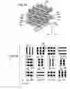Fig. 09 - Method for manufacturing three-dimensional photonic crystal