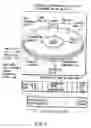 Fig. 02 - Information storage medium and information recording/playback system