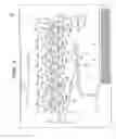 Fig. 02 - Image forming apparatus including one or more transfer members for transferring color toner and transparent toner images