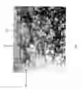 Fig. 03 - Silicon nanosponge particles
