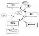 Fig. 01 - Method for manufacturing the nanoporous skeletonC material