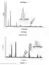 Fig. 03 - Method for manufacturing the nanoporous skeletonC material