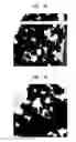 Fig. 09 - Methods for synthesis of semiconductor nanocrystals and thermoelectric compositions