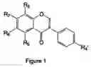 Fig. 02 - Isoflavone derivatives
