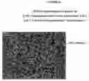 Fig. 06 - Mending hair damage with polyelectrolyte complexes
