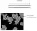 Fig. 07 - Mending hair damage with polyelectrolyte complexes
