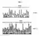 Fig. 02 - Method for diagnosing alopecia
