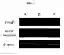 Fig. 04 - Method for diagnosing alopecia