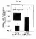 Fig. 07 - Method for diagnosing alopecia
