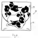 Fig. 06 - Malodor reduction patch