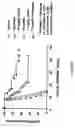 Fig. 07 - Methods for treating lymphomas