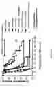 Fig. 08 - Methods for treating lymphomas