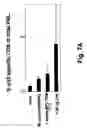 Fig. 08 - Packaged virus-like particles