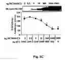 Fig. 06 - MCV MC160 compositions and methods