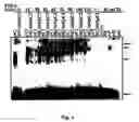 Fig. 07 - MCV MC160 compositions and methods