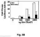 Fig. 09 - MCV MC160 compositions and methods