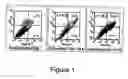 Fig. 02 - Encapsulated cell therapy
