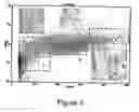 Fig. 04 - Encapsulated cell therapy