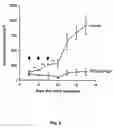 Fig. 03 - Antitumor agents