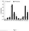 Fig. 06 - Antitumor agents