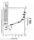 Fig. 06 - Methods of treatment of autoimmune diseases using humanized immunoglobulin reactive with B7-2