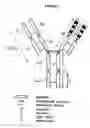 Fig. 02 - CD20 binding molecules