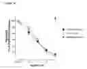 Fig. 02 - Antibodies to TGF-β