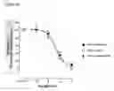 Fig. 06 - Antibodies to TGF-β