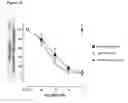 Fig. 07 - Antibodies to TGF-β