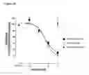 Fig. 09 - Antibodies to TGF-β