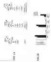 Fig. 02 - Method for screening molecules that restore NOD1 activity in cells containing an NOD2 mutation that reduces or eliminates NOD1 activity