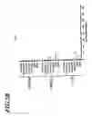 Fig. 04 - Method for screening molecules that restore NOD1 activity in cells containing an NOD2 mutation that reduces or eliminates NOD1 activity