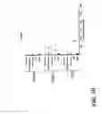 Fig. 10 - Method for screening molecules that restore NOD1 activity in cells containing an NOD2 mutation that reduces or eliminates NOD1 activity