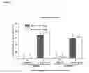 Fig. 04 - Antibodies to human IL-1β