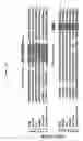Fig. 10 - Employment of rotavirus proteins, derived proteins and peptides for the modulation of tissue permeability