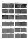 Fig. 06 - Cancer antigens and utilization thereof
