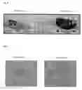 Fig. 09 - Cancer antigens and utilization thereof