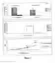 Fig. 02 - Recombinant nucleic acid useful for inducing protective immune response against allergens