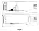 Fig. 03 - Recombinant nucleic acid useful for inducing protective immune response against allergens
