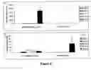 Fig. 07 - Recombinant nucleic acid useful for inducing protective immune response against allergens