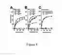 Fig. 02 - Compositions and methods for treating malaria with cupredoxin and cytochrome