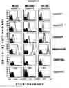 Fig. 08 - Multiple variants of meningococcal protein nmb1870