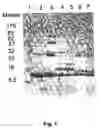Fig. 02 - Packaging of immunostimulatory oligonucleotides into virus-like particles: method of preparation and use