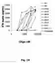 Fig. 03 - Packaging of immunostimulatory oligonucleotides into virus-like particles: method of preparation and use