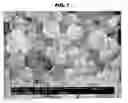 Fig. 02 - Nano-particles comprising cucurbituril derivatives, pharmaceutical composition containing the same, and process for the preparation thereof