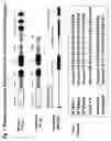 Fig. 02 - Bioactive FUS1 peptides and nanoparticle-polypeptide complexes