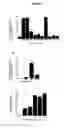 Fig. 05 - Agents and methods for enhancing bone formation by oxysterols in combination with bone morphogenic proteins